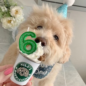 Personalised pet puppacino pup cup, gift for dog, birthday gift for your dog, dog lover, gift for dog mum, gotcha day gift, dog enrichment,