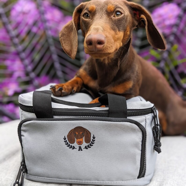 Puede incluir: Una bolsa de almuerzo aislada gris con una cremallera y asas negras. La bolsa tiene un dise&ntilde;o bordado de un dachshund con la letra "A" debajo. Un dachshund marr&oacute;n y tostado est&aacute; sentado encima de la bolsa.