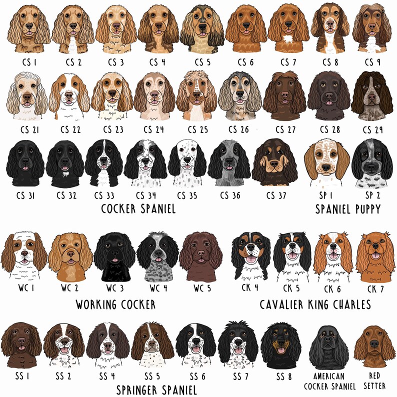 Op de afbeelding: Een verzameling illustraties van hondenrassen, waaronder Cocker Spaniels, Working Cockers, Cavalier King Charles, Springer Spaniels en een Red Setter. Elke afbeelding is gelabeld met codes zoals "CS 1" en "SS 2", die verschillende vachtkleuren tonen.