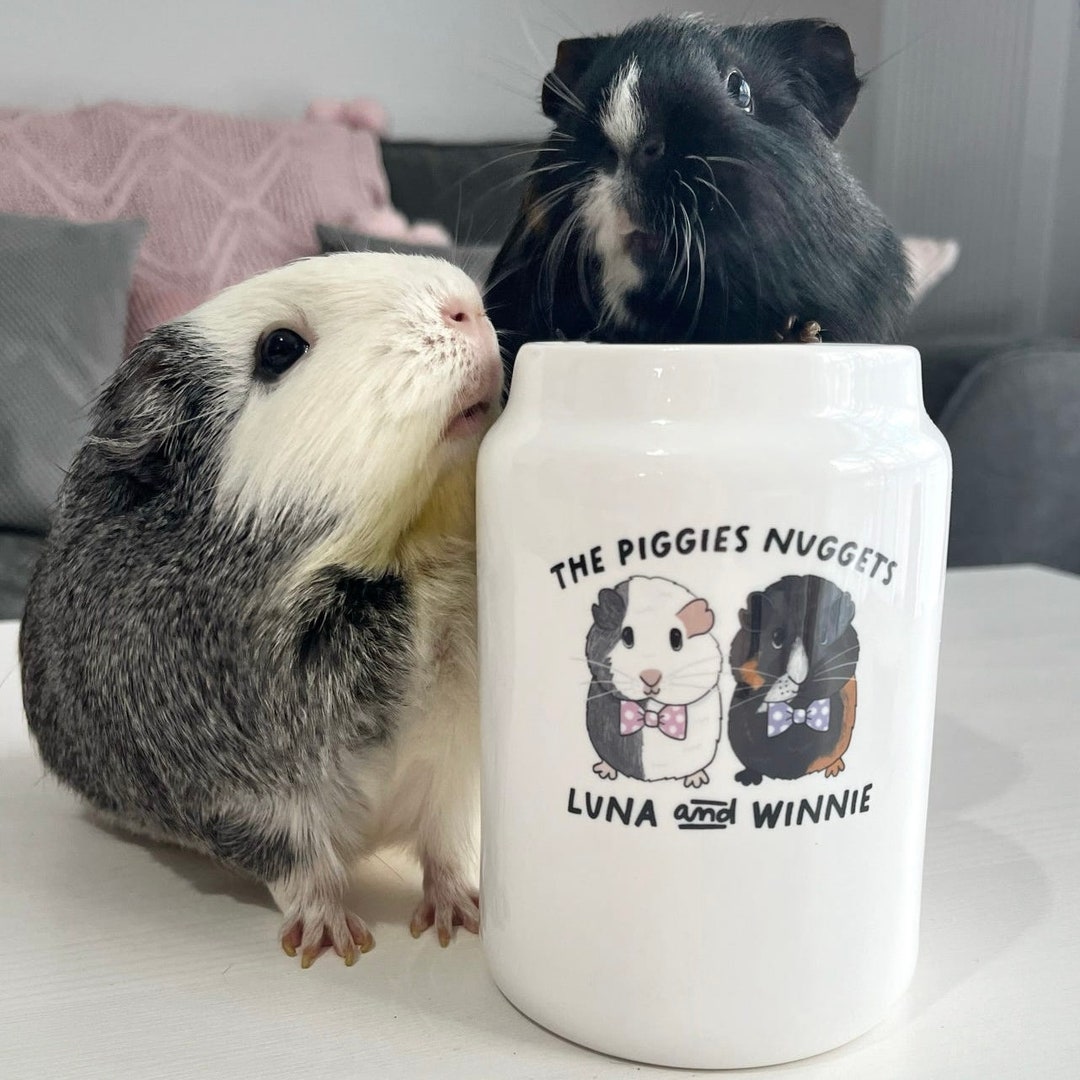 Guinea Pig Daycare Near Me Personalised Guinea Pig Gift Treat Jar