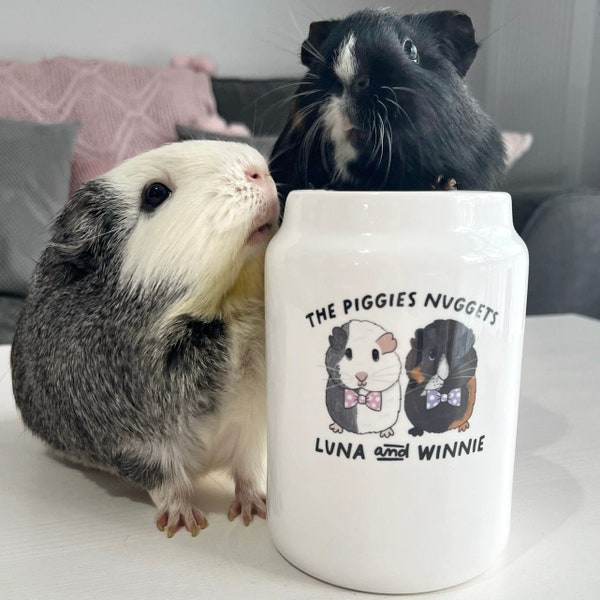Personalised Guinea Pig gift treat jar, guinea pig lover custom gift, birthday gift for guinea pig,  pet treat jar, birthday gift for her