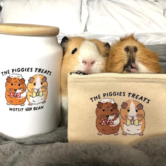 Personalised Guinea Pig Gift Treat Jar Guinea Pig Lover Custom