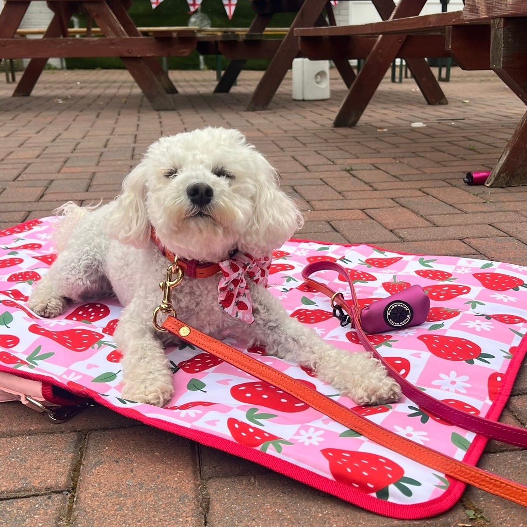 Pink Mat for Dog Etsy