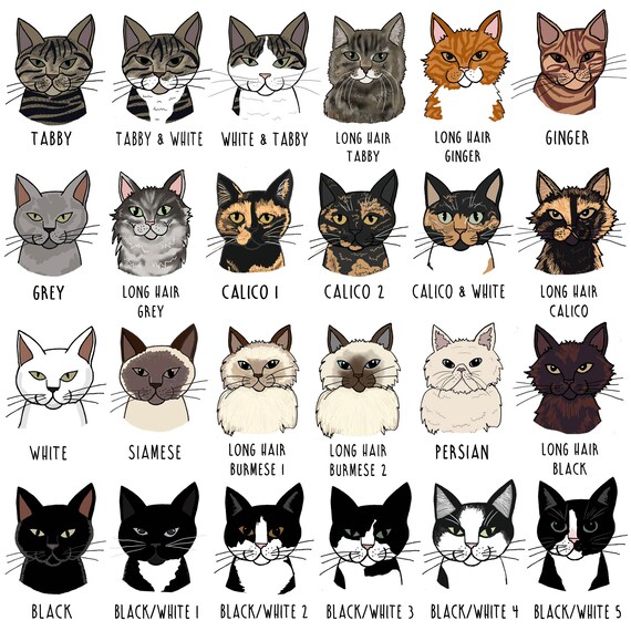 Pull chat personnalisé, Sweat-shirt chat personnalisé, Sweat-shirt Cat  Lover, Pull pour animaux de compagnie, Pull pour dame pour chat, Pull  personnalisé pour animaux de compagnie -  France