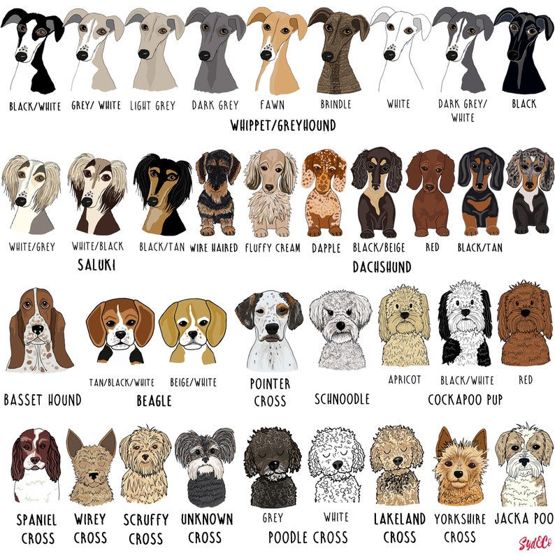 Personalised Dog jumper, personalised dog breed jumper, Personalised dog sweatshirt, Dog Lover sweatshirt, Cockerpoo, Pug , French bulldog image 4