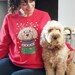 Personalised Christmas Dog Jumper, Dog lover Christmas jumper, Dog breed jumper, Cockerpoo christmas jumper, pug christmas jumper 