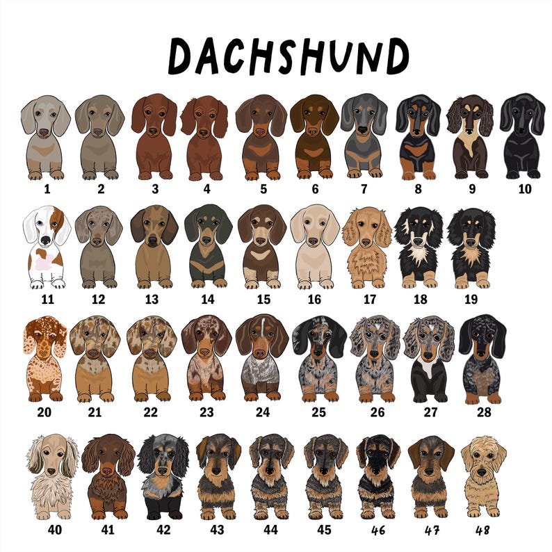 Personalised Pet Treat Bag, Dog illustration on bag, Treat Bag, Personalised Treat Bag, Dog Illustration, Dog Treats, Cat Illustration image 4