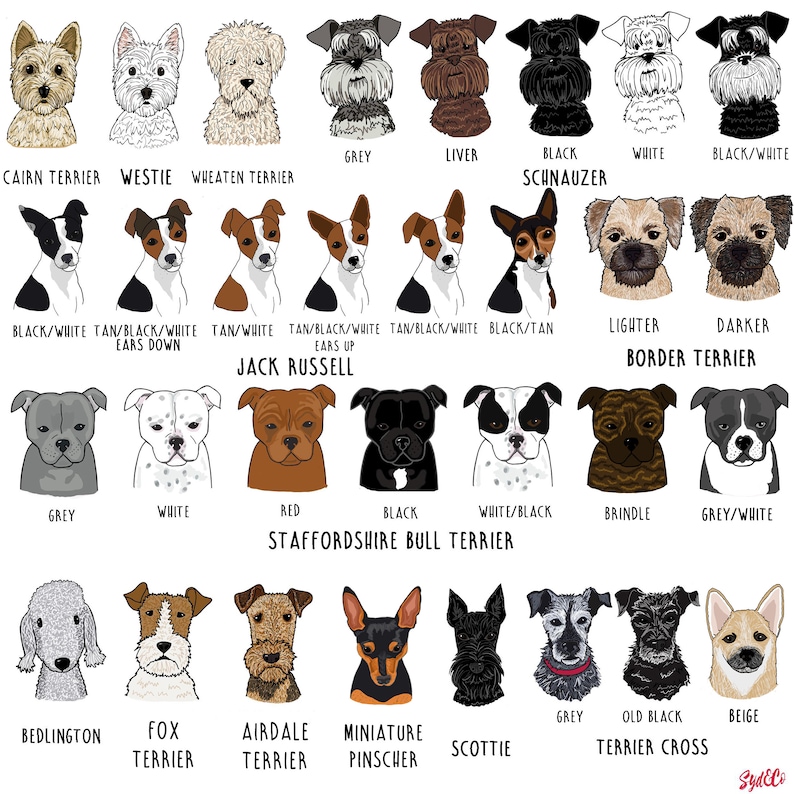 Personalised sweatshirt with an illustration of your dog, custom pet sweatshirt for a dog lover, personalised dog jumper, jumper with dog on image 7