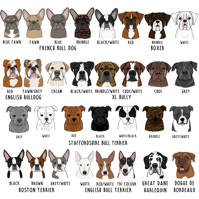 Personalised Pet Treat Bag, Dog illustration on bag, Treat Bag, Personalised Treat Bag, Dog Illustration, Dog Treats, Cat Illustration image 7