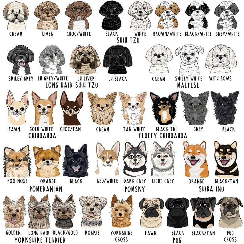 Personalised Pet Treat Bag, Dog illustration on bag, Treat Bag, Personalised Treat Bag, Dog Illustration, Dog Treats, Cat Illustration image 6