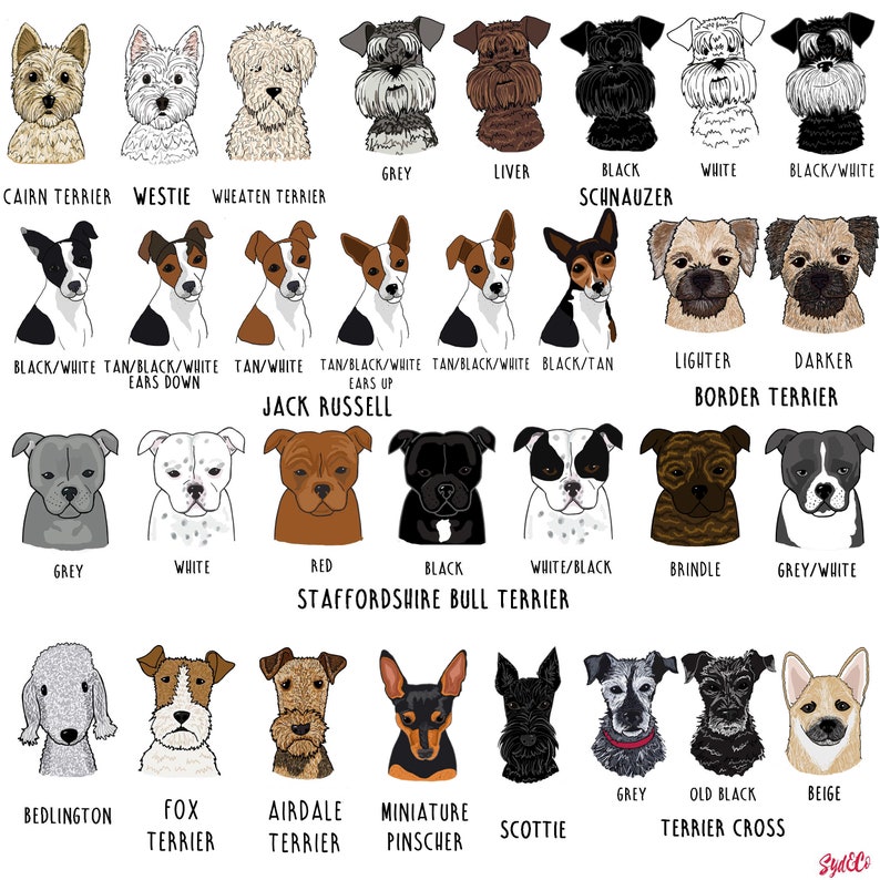 Personalised dog mug, personalised dog illustration, mug with dog on, Dog Mum gift, stocking filler gift, gift for dog mum, cockerpoo image 6