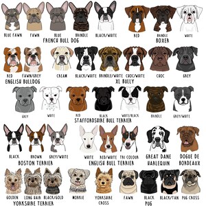 Op de afbeelding: Een illustratie van verschillende hondenrassen, waaronder Franse Bulldogs, Engelse Bulldogs en Yorkshire Terriers. Elke hond wordt afgebeeld met verschillende kleuren en patronen, met labels eronder.