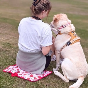 Op de afbeelding: Een lichtgekleurde Labrador Retriever draagt een tuigje en halsband met bloemenpatroon. Een persoon zit op een rood-witte aardbeienpatroonmat op het gras.
