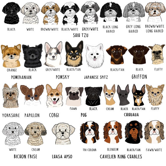 When Do Pomsky Ears Stand Up: The Canine Milestone