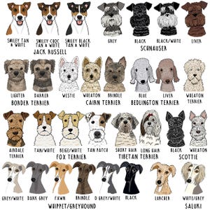 Personalised Pet Treat Bag, Dog illustration on bag, Treat Bag, Personalised Treat Bag, Dog Illustration, Dog Treats, Cat Illustration image 9