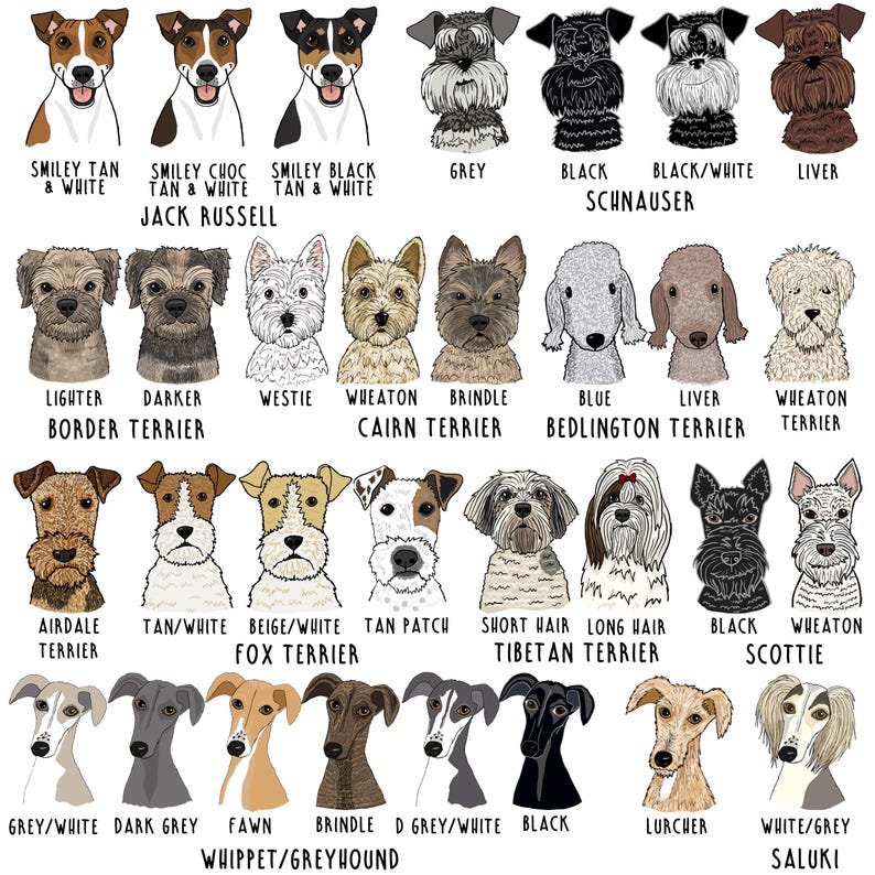 Personalised Pet Treat Bag, Dog illustration on bag, Treat Bag, Personalised Treat Bag, Dog Illustration, Dog Treats, Cat Illustration image 9