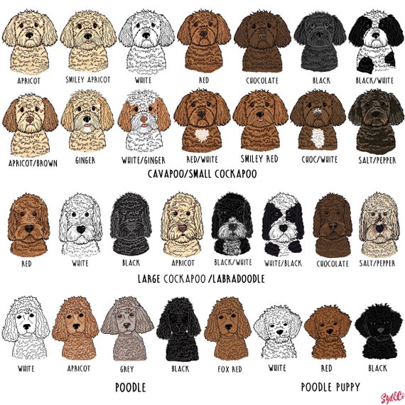 Personalised dog christmas jumper sales