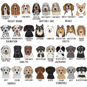 Personalised Pet Treat Bag, Dog illustration on bag, Treat Bag, Personalised Treat Bag, Dog Illustration, Dog Treats, Cat Illustration image 8