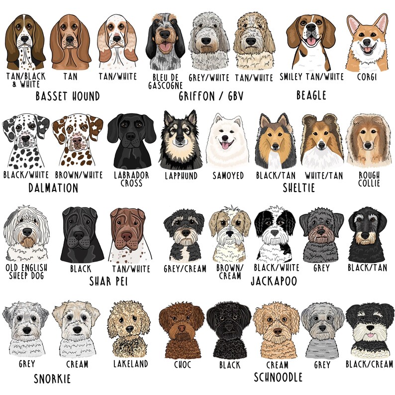 Personalised Pet Treat Bag, Dog illustration on bag, Treat Bag, Personalised Treat Bag, Dog Illustration, Dog Treats, Cat Illustration image 8