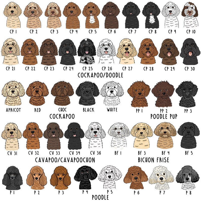 Op de afbeelding: Een verzameling ge&iuml;llustreerde hondenportretten, waaronder Cockapoos, Poodle Pups, Bichon Frise en Cavapoos. Elke hond heeft een unieke kleur en stijl, met tekstlabels zoals "Apricot", "Red" en "Black".