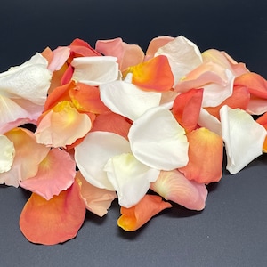 Petali di rosa, avorio, pesca e corallo, veri petali di rosa liofilizzati, completamente naturali e biodegradabili, perfettamente conservati negli Stati Uniti.