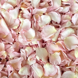 May include: A close-up image of a pile of light pink rose petals. The petals are soft and delicate, with a slightly crinkled texture.