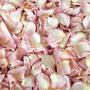 Rose Petals, Pixie Pink, REAL freeze dried rose petals, perfectly preserved image 2