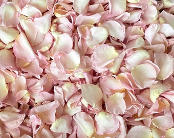 May include: A close-up image of a pile of light pink rose petals. The petals are soft and delicate, with a slightly crinkled texture.