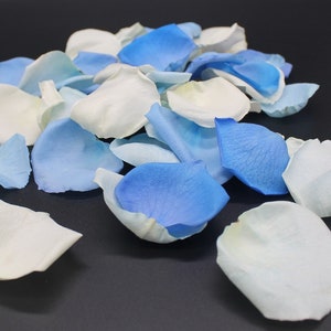 Rose Petals, Cinderella Blend, 50+ cups of REAL freeze dried rose petals, All Natural and Biodegradable, Perfectly Preserved in the USA