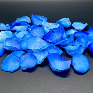 Rose Petals, Blue, REAL freeze dried rose petals, All Natural and Biodegradable, Perfectly Preserved in the USA