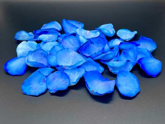 Freeze Dried Rose Petals, Blue, REAL Rose Petals, Perfectly Preserved 