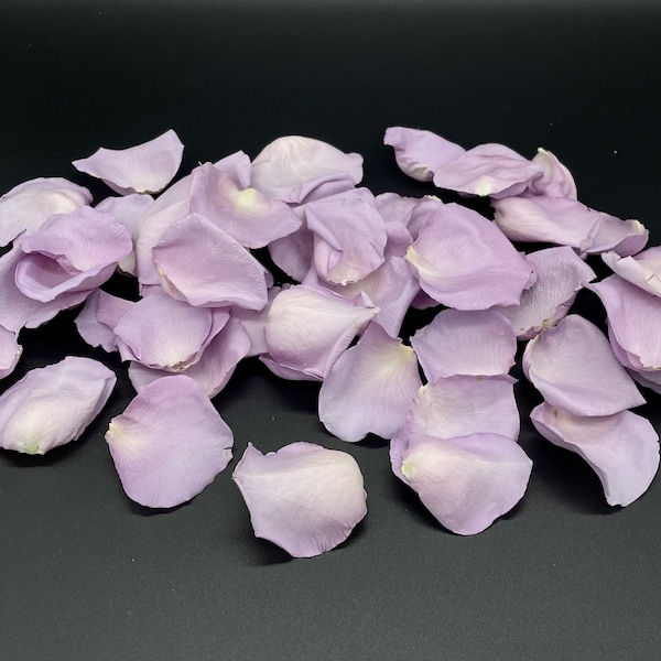 Rose Petals, Lavender, 50+ cups of REAL freeze dried rose petals, All Natural and Biodegradable, Perfectly Preserved in the USA