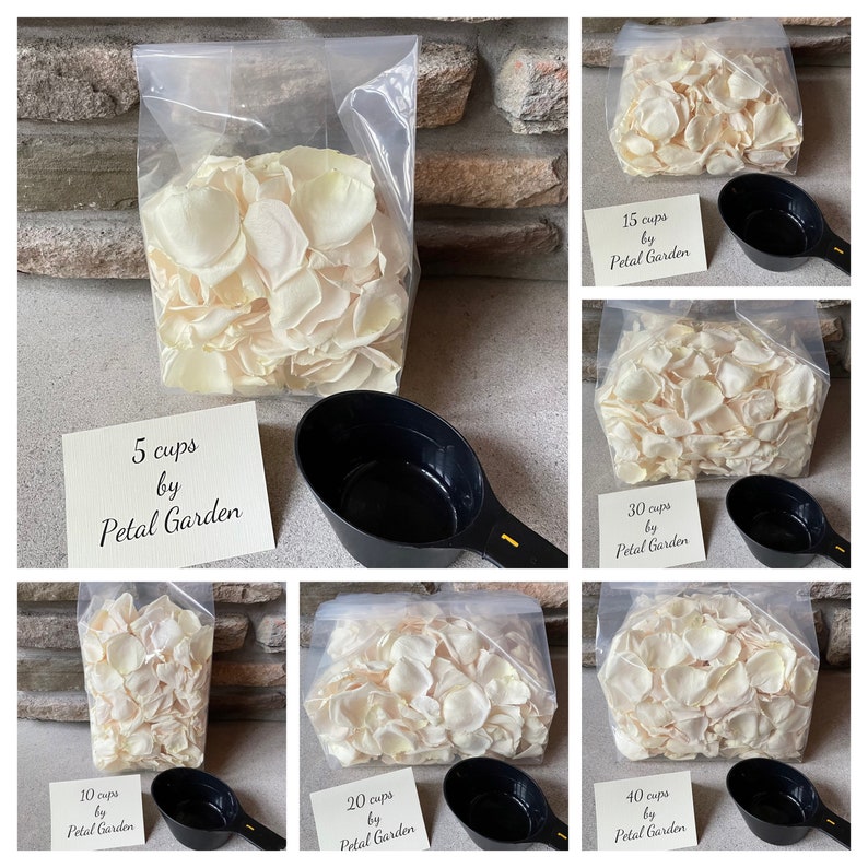 Freeze Dried Rose Petals, Ivory, 10 cups of REAL rose petals for Weddings, All Natural and Biodegradable, Ships Based on Event Date image 7