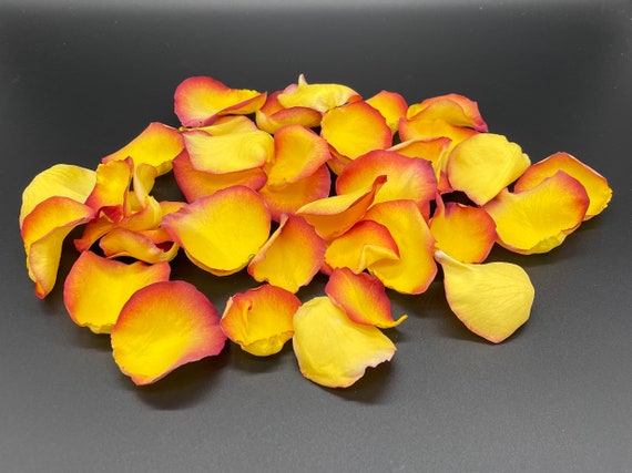 Freeze Dried Rose Petals, Red, REAL Rose Petals, Perfectly Preserved 