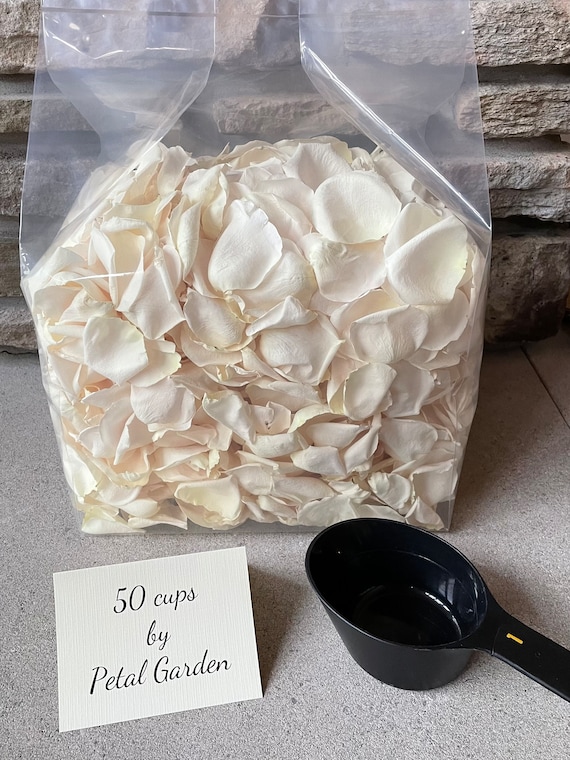 Rose Petals REAL Freeze Dried Ivory Rose Petals Biodegradable