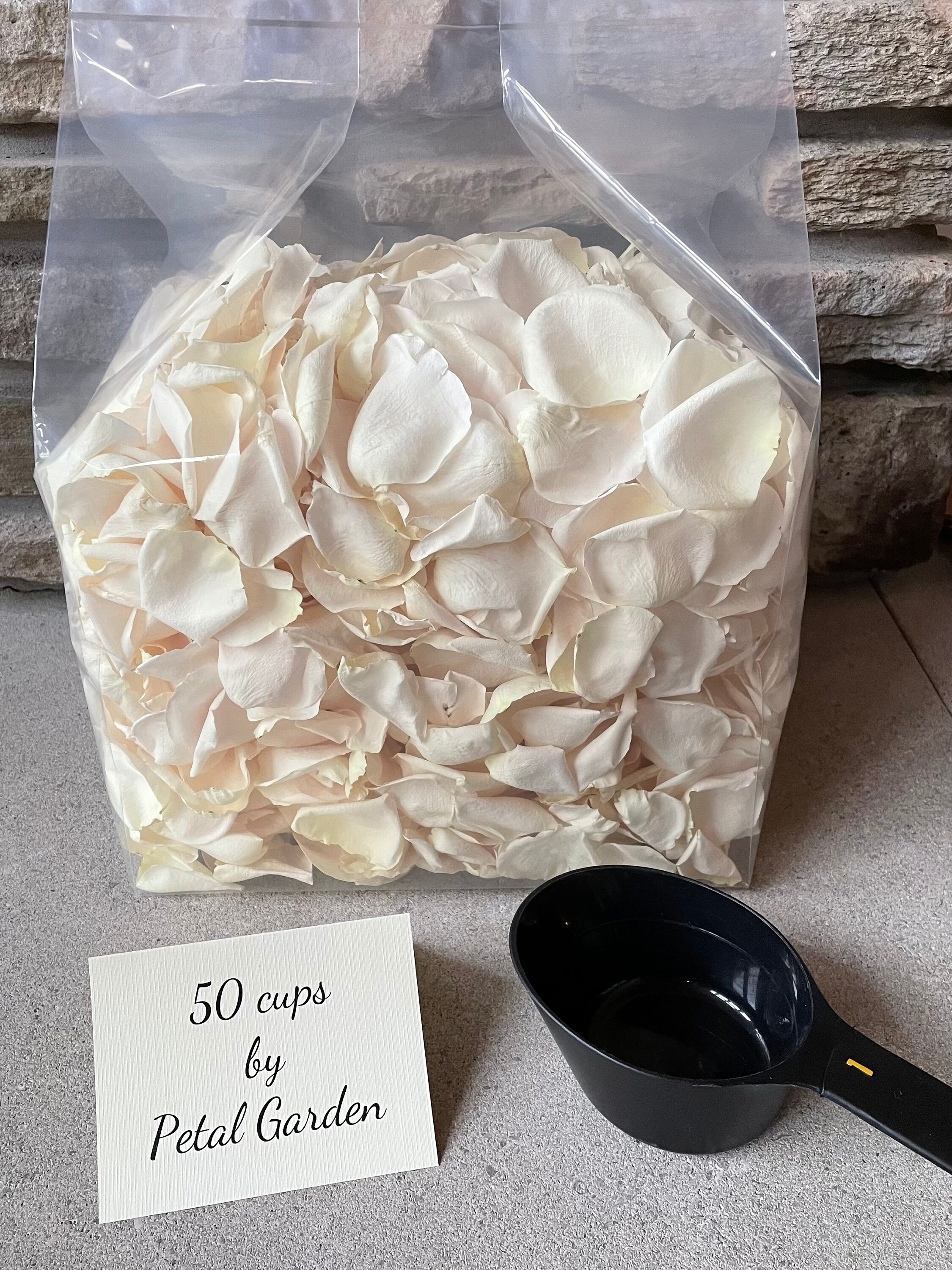 Real Pink Rose Petals. Flower Petals.200 CUPS. Freeze-dried Petals. Natural  Confetti. Dried Flower Petals. Wedding Petals. Grown in USA 