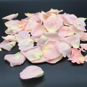 Rose Petals, Blush, REAL Freeze Dried Rose Petals for Weddings, 2 cups, All Natural and Biodegradable, Ships Based on Event Date*