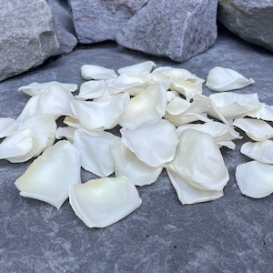 バラの花びら、アイボリー、本物のフリーズドライバラの花びら、すべて天然で生分解性、米国で完璧に保存 画像 8