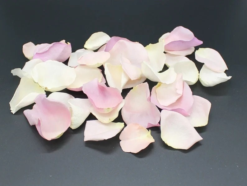 Freeze Dried Rose Petals, Ivory, 10 cups of REAL rose petals for Weddings, All Natural and Biodegradable, Ships Based on Event Date image 5