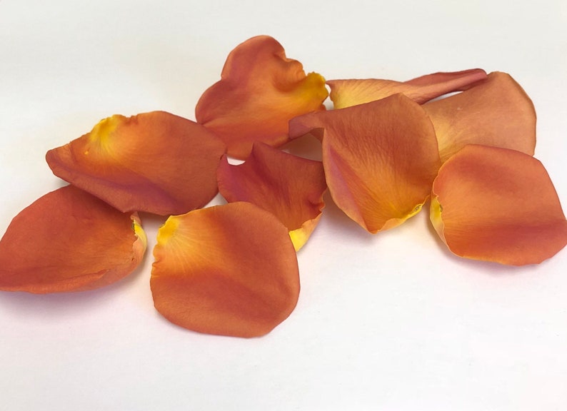 Freeze Dried Rose Petals Coral 30 Cups of REAL Rose Petals Etsy