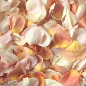 Petali di rosa, avorio, rosa cipria e pesca, veri petali di rosa liofilizzati, completamente naturali e biodegradabili, perfettamente conservati negli Stati Uniti.