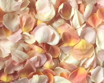 May include: A close-up image of a pile of rose petals in shades of pink, peach, and cream. The petals are soft and delicate, and they are arranged in a random pattern.