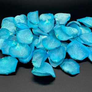Rose Petals, Teal, REAL freeze dried rose petals, All Natural and Biodegradable, Perfectly Preserved in the USA