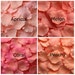 see more listings in the 300 Silk Rose Petals section