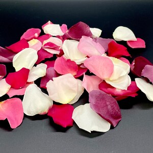 Petali di rosa, Romance Blend, veri petali di rosa liofilizzati, completamente naturali e biodegradabili, perfettamente conservati negli Stati Uniti.