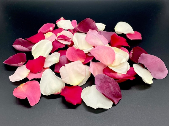 Rose Petals, Romance Blend, REAL Freeze Dried Rose Petals, Perfectly  Preserved 