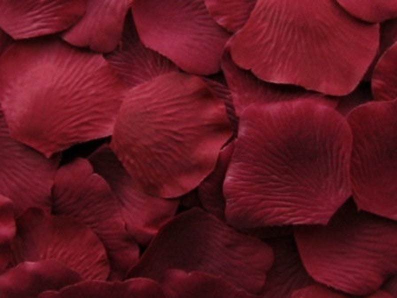 May include: A pile of deep red rose petals, perfect for scattering on a table or floor for a romantic occasion.