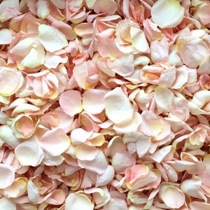 Rose Petals, Blush, 30 cups of REAL freeze dried rose petals, All Natural and Biodegradable, Perfectly Preserved in the USA