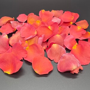 Rose Petals, Tango, REAL freeze dried rose petals, All Natural and Biodegradable, Perfectly Preserved in the USA
