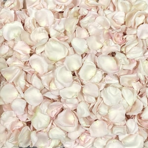 Petali di rosa, Bashful, veri petali di rosa liofilizzati, completamente naturali e biodegradabili, perfettamente conservati negli Stati Uniti